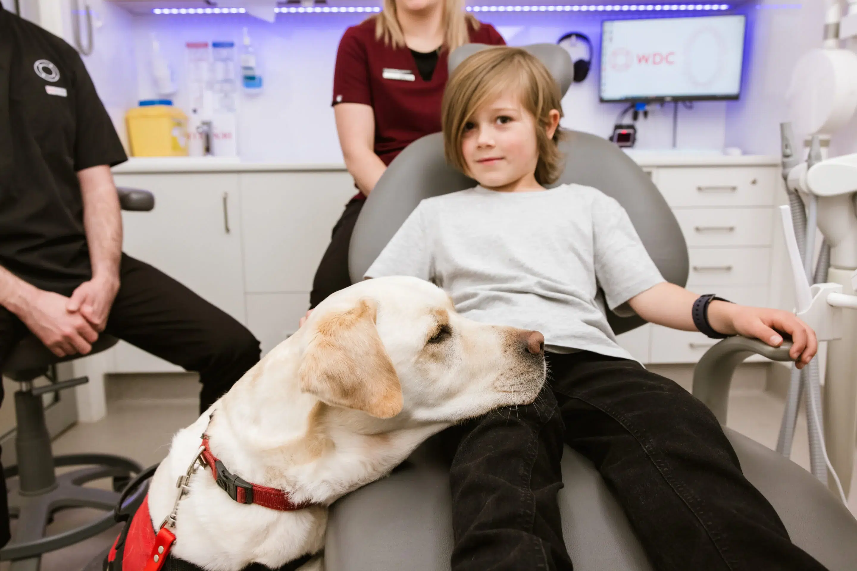 Meet Dogtor Dave: Easing Dental Anxiety Naturally