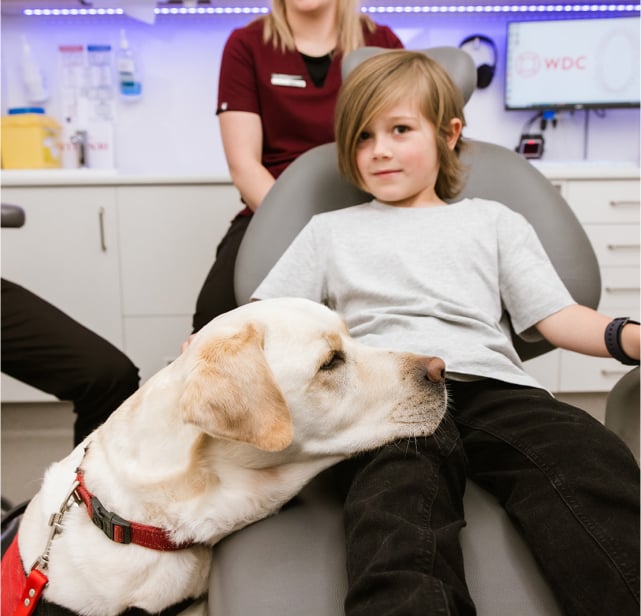 Bruce's Training And Hobbies In Warragul, Gippsland At Warragul Dental Care