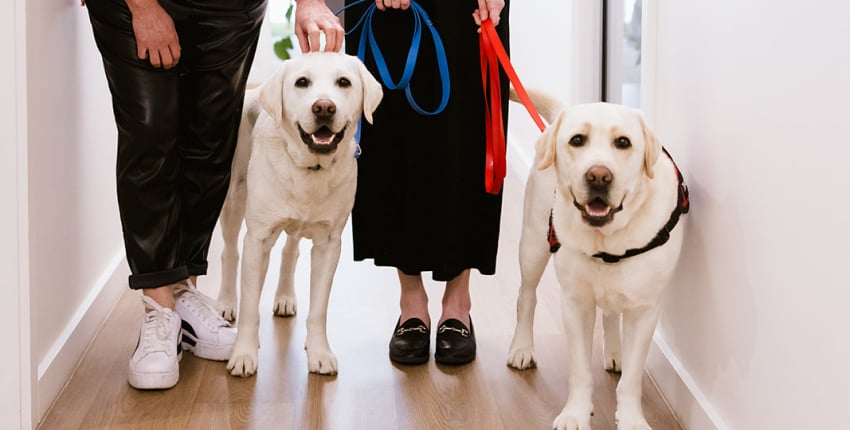 Call For Your Creature Comforts In Warragul, Gippsland At Warragul Dental Care