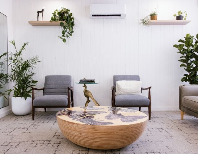 Welcoming Clinic And Relaxing Treats In Warragul, Gippsland In Dentélle By Wdc
